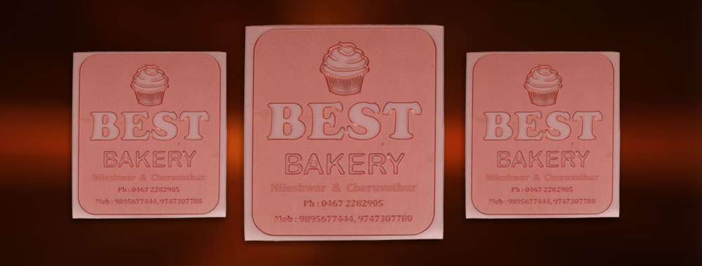 PHOTOGRAPHIC PLATE UNEXPOSED